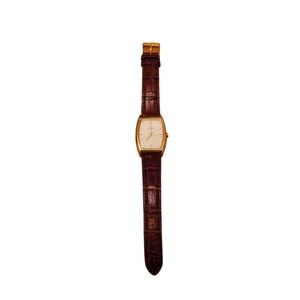 Skagen Gold Case with Brown Leather Strap Watch
